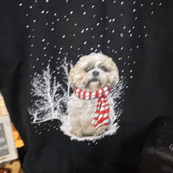 Winter dog - Picture 3 of 5